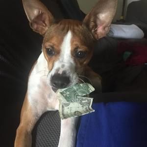 Meet your Posher, Evan